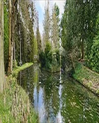 512px-L’Arboretum_de_la_Vallée-aux-Loups_(Chatenay-Malabry)_(27432573218) (1) Jean-Pierre Dalbéra from Paris, France, CC BY 2.0 <https://creativecommons.org/licenses/by/2.0>, via Wikimedia Commons