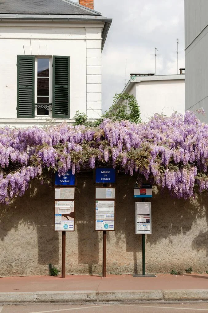 Syndic Sceaux